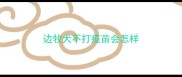 边牧犬不打疫苗会怎样