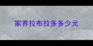 家养拉布拉多多少元