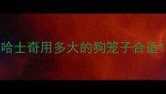 哈士奇用多大的狗笼子合适