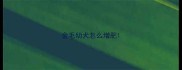 金毛幼犬怎么增肥