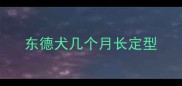 东德犬几个月长定型