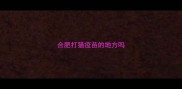 合肥打猫疫苗的地方吗