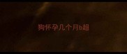 狗怀孕几个月b超