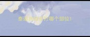 泰迪狗疫苗打哪个部位
