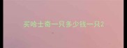 买哈士奇一只多少钱一只