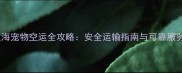 北京到上海宠物空运全攻略安全运输指南与可靠服务商推荐