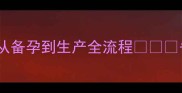 猫咪怀孕时间表从备孕到生产全流程备孕猫咪家长必看