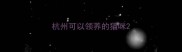 杭州可以领养的猫咪
