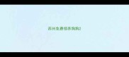苏州免费领养狗狗