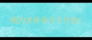 格力犬怀孕几个月生