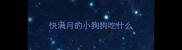 快满月的小狗狗吃什么