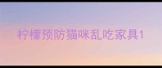 柠檬预防猫咪乱吃家具
