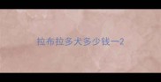 拉布拉多犬多少钱一