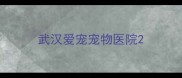 武汉爱宠宠物医院