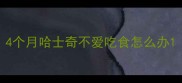 4个月哈士奇不爱吃食怎么办