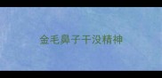 金毛鼻子干没精神