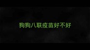 狗狗八联疫苗好不好