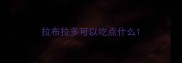 拉布拉多可以吃点什么
