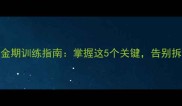 边境牧羊犬4个月黄金期训练指南掌握这5个关键告别拆家坏习惯新手必看
