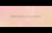 狗狗受伤吃什么比较好
