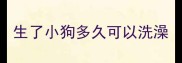 生了小狗多久可以洗澡