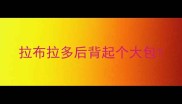 拉布拉多后背起个大包