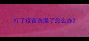 打了疫苗洗澡了怎么办