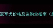边境牧羊犬冠军犬价格及选购全指南最新参考