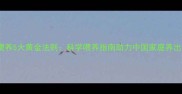 拉布拉多幼犬喂养5大黄金法则科学喂养指南助力中国家庭养出健康聪明犬只