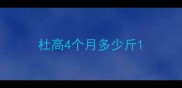 杜高4个月多少斤