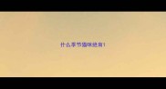 什么季节猫咪绝育