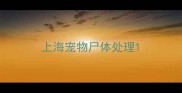 上海宠物尸体处理
