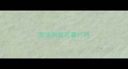 泰迪狗能吃薯片吗