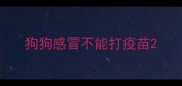 狗狗感冒不能打疫苗