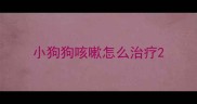 小狗狗咳嗽怎么治疗