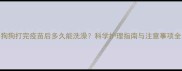 狗狗打完疫苗后多久能洗澡科学护理指南与注意事项全