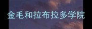 金毛和拉布拉多学院
