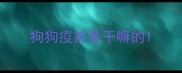 狗狗疫苗是干嘛的