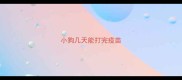 小狗几天能打完疫苗