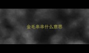 金毛串串什么意思