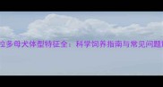 拉布拉多母犬体型特征全科学饲养指南与常见问题解答