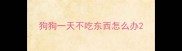狗狗一天不吃东西怎么办