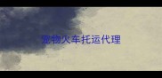 宠物火车托运代理