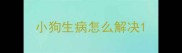 小狗生病怎么解决