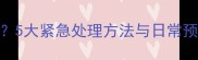 猫咪牙龈红肿流脓怎么办5大紧急处理方法与日常预防指南附症状自检表