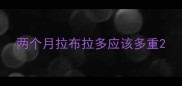 两个月拉布拉多应该多重