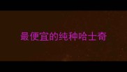 最便宜的纯种哈士奇