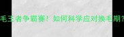 金毛vs萨摩掉毛王者争霸赛如何科学应对换毛期养狗人必看干货