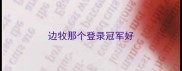 边牧那个登录冠军好
