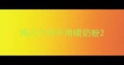 狗几个月不用喂奶粉